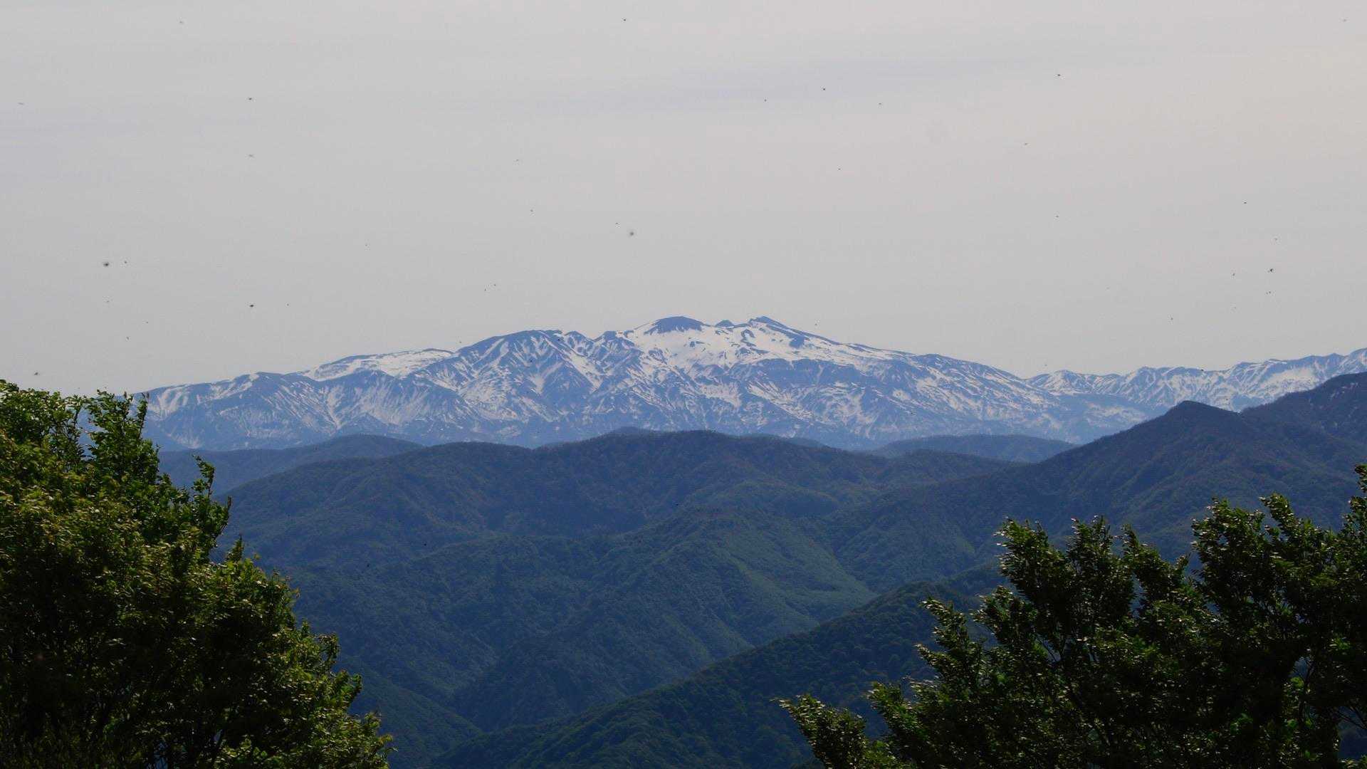 大内峠登山口-大内峠-熊の平-火燈山-小倉谷山-富士写ヶ岳 周回コースの写真