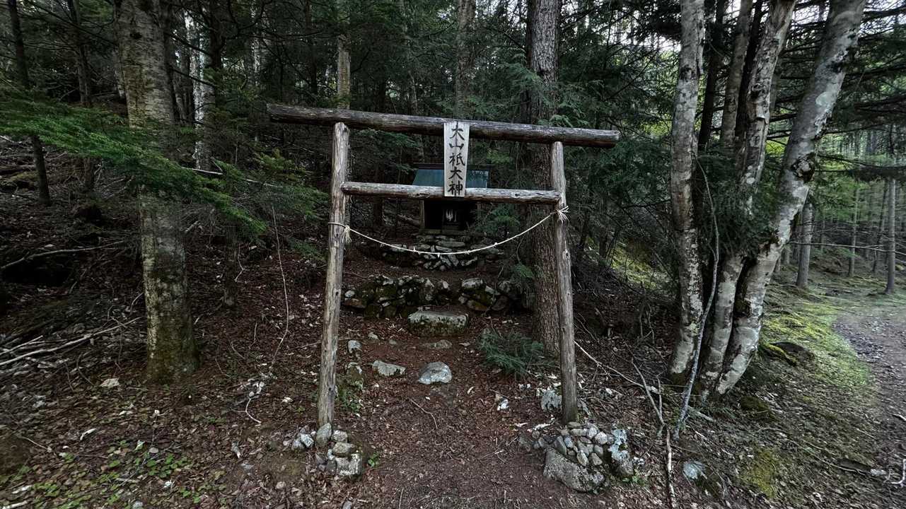 三宝山・甲武信ヶ岳縦走 の写真 40