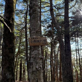 小屋瀬戸ノ頭到着
名前に小屋がついたピークが多い