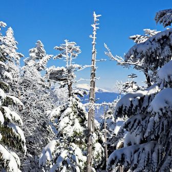 ガトーショコラ(黒斑山)が見えた