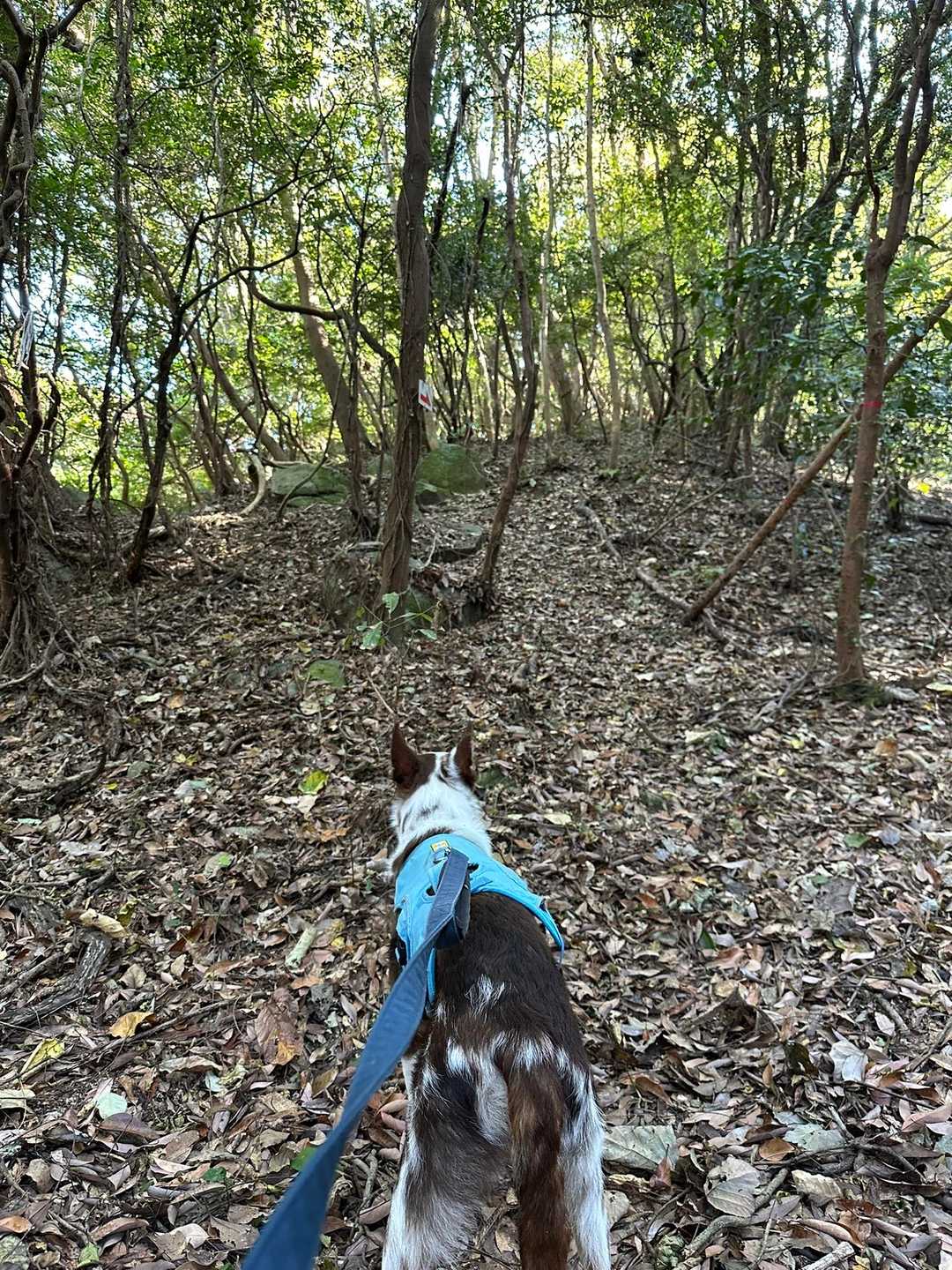 ふかふかの足元
時々ズルっと😓