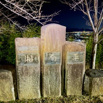 はじめてみました