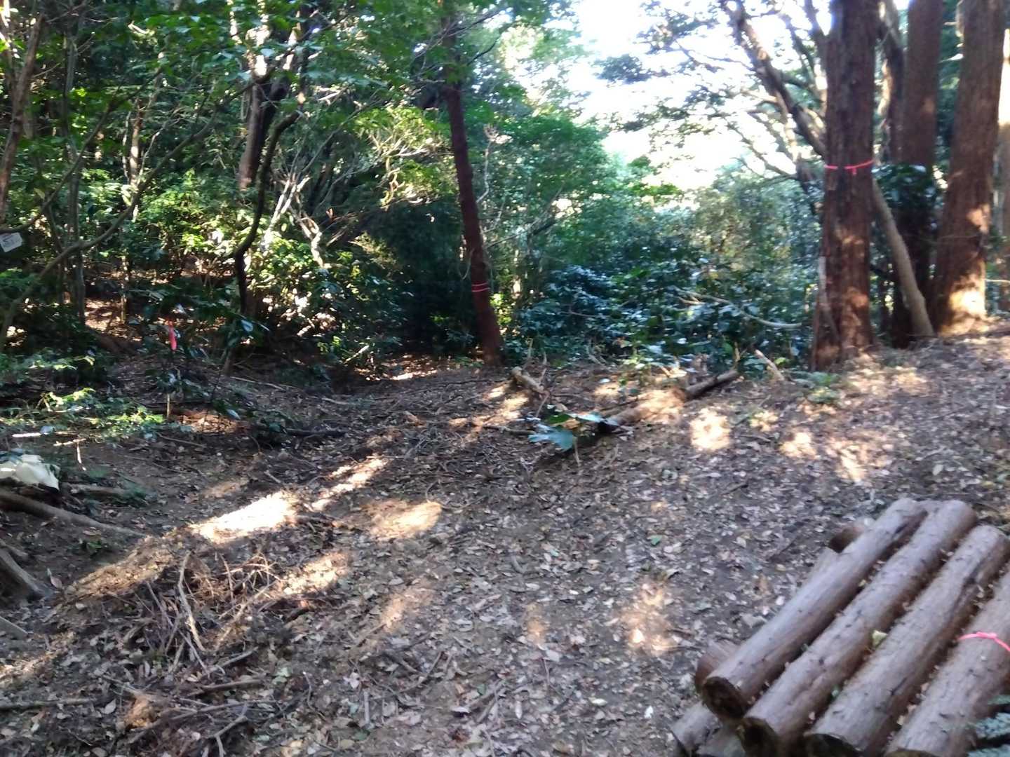 日本一迷いやすい登山道のベンチ。6月に案内板付けたから大丈夫なはず。