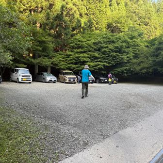 結構停まってますね🚗、それなりに人気なようで🤔