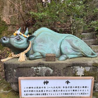 どこもかしこも悪いとこばかりなので牛🐄さんの身体全体撫でます😁