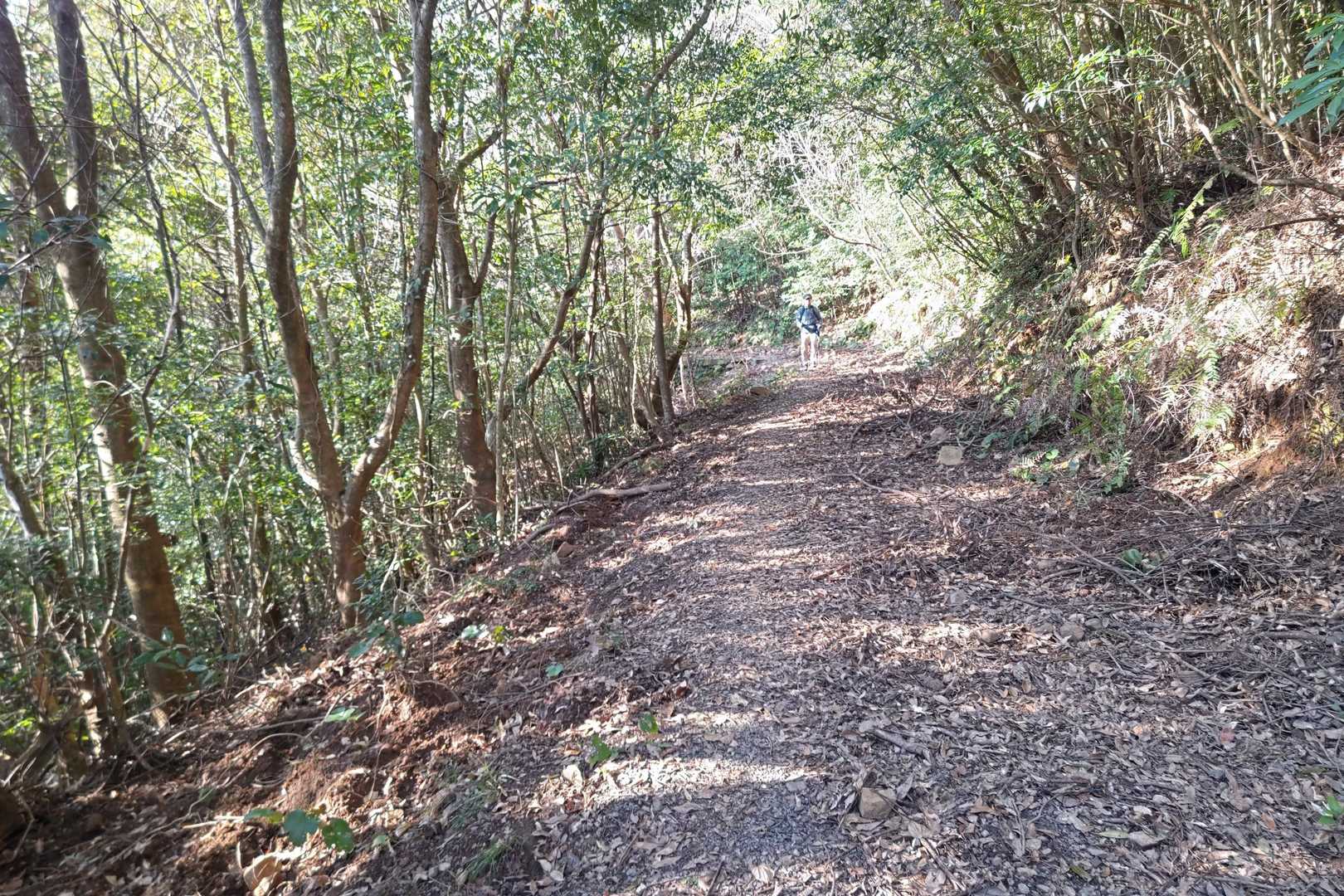 後ろからくる旦那さん🚶‍♂️
樹林帯を抜けた後、道路に出る前、こんな感じの砂利な道を進みます