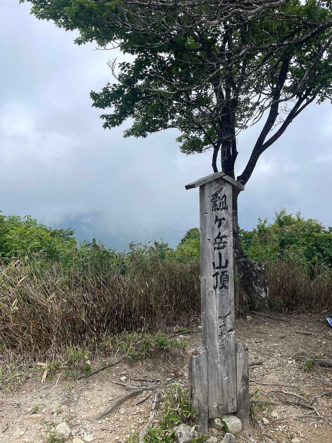 10分くらいで山頂到着⛰️