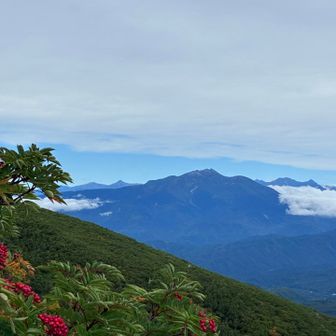 乗鞍岳、笠ヶ岳、黒部五郎岳…が見える。
先月黒部五郎岳から御嶽が良く見えたな。