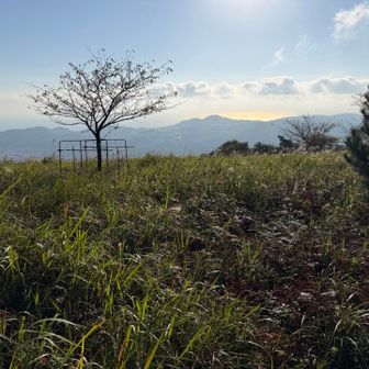 柏嶺に到着
小室山方面