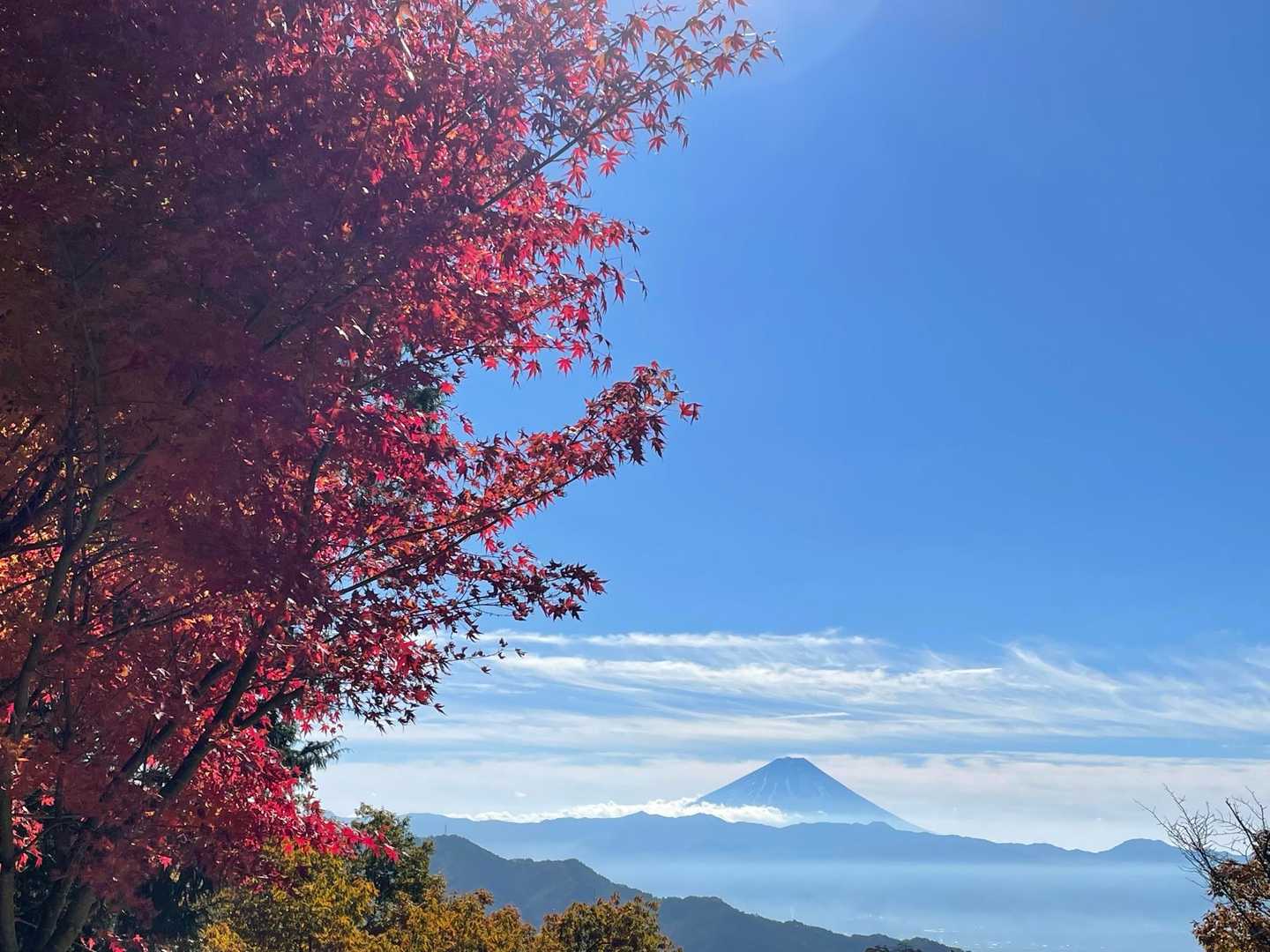 弥三郎岳 往復コースの写真