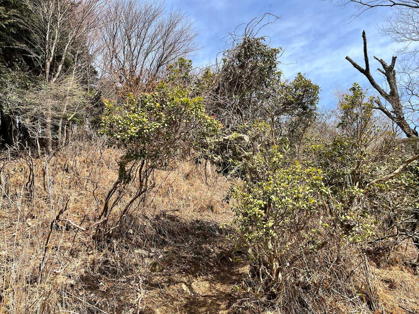 トンネルくぐって