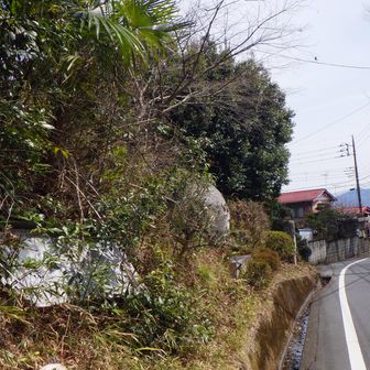 一度下山して舗装道路に出た。「これより甲州街道"犬目宿”」との看板。