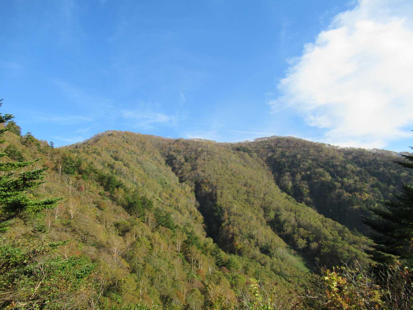 飯縄山-瑪瑙山 縦走コースの写真