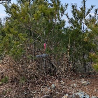 孫仙人ヶ岳登頂🙂