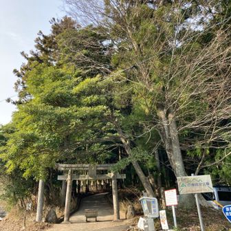 スタートです！