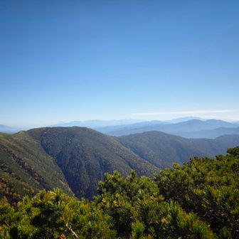 蝶ヶ岳 山頂から。大滝山かな