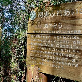 南高尾で一番高い山
　　大洞山　標高538メートル。

 今日歩いた道は、関東ふれあいの道、湖の道(梅の木平から高尾山口までの16kmの道)