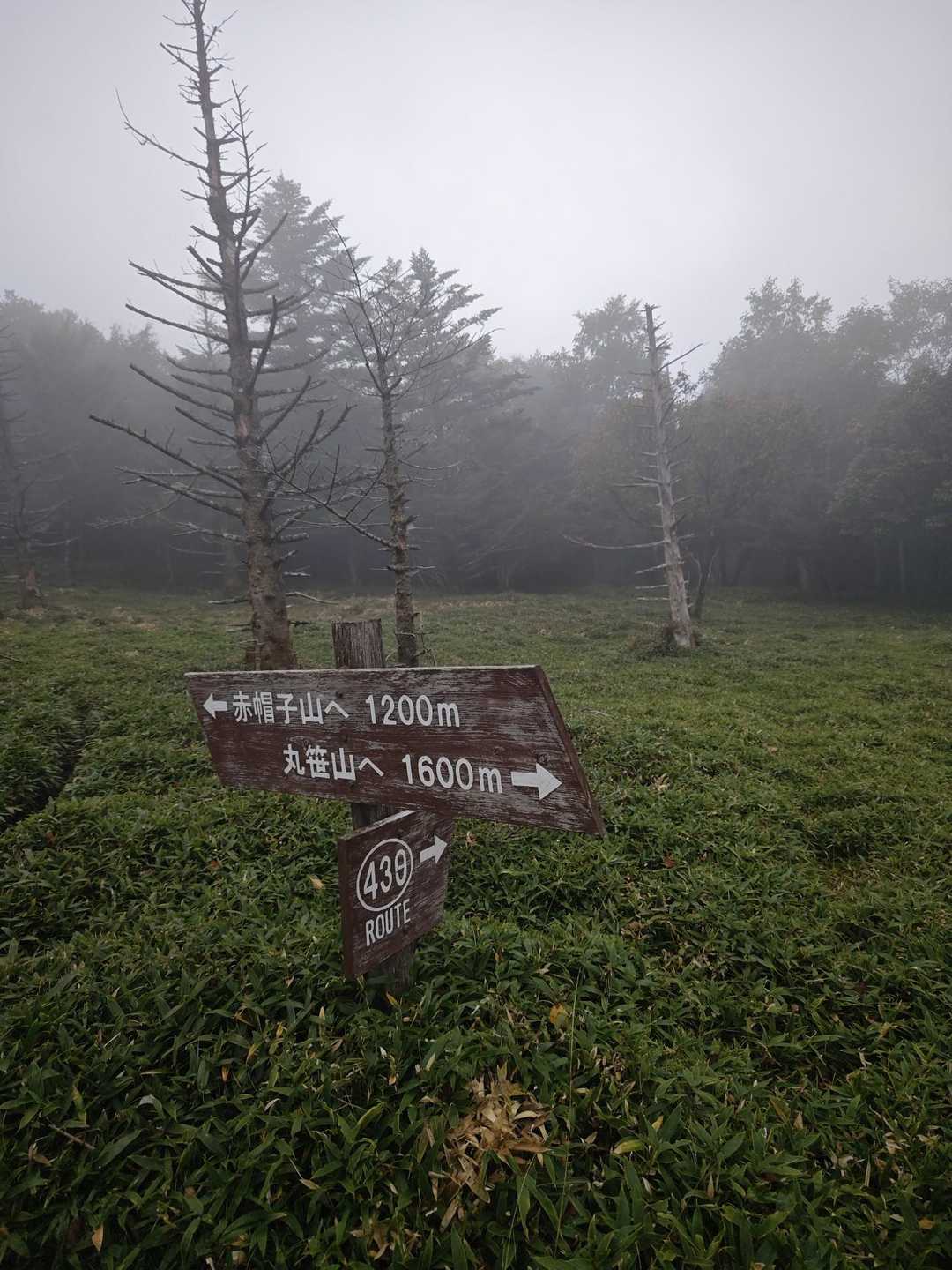 下側のルートは、ヤマップのみんなのルートでも歩かれた形跡なし😅