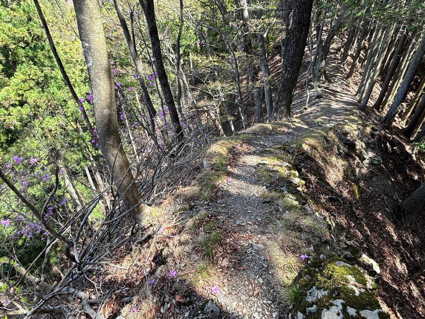 ひたすら　てくてく🚶‍♀️