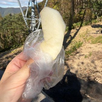 今旬の梨の甘太🍐大きくてとっても甘いです♪