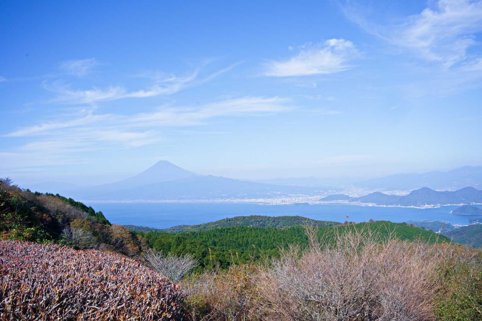 大曲茶屋バス停-土肥峠-伽藍山-古稀山-達磨山-小達磨山- 縦走コースの写真