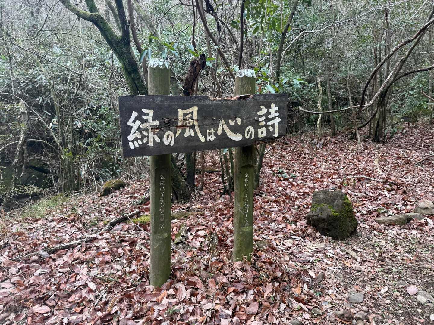 玄岳ハイクコース入口バス停-玄岳ハイクコース入口-玄岳-玄 往復コースの写真