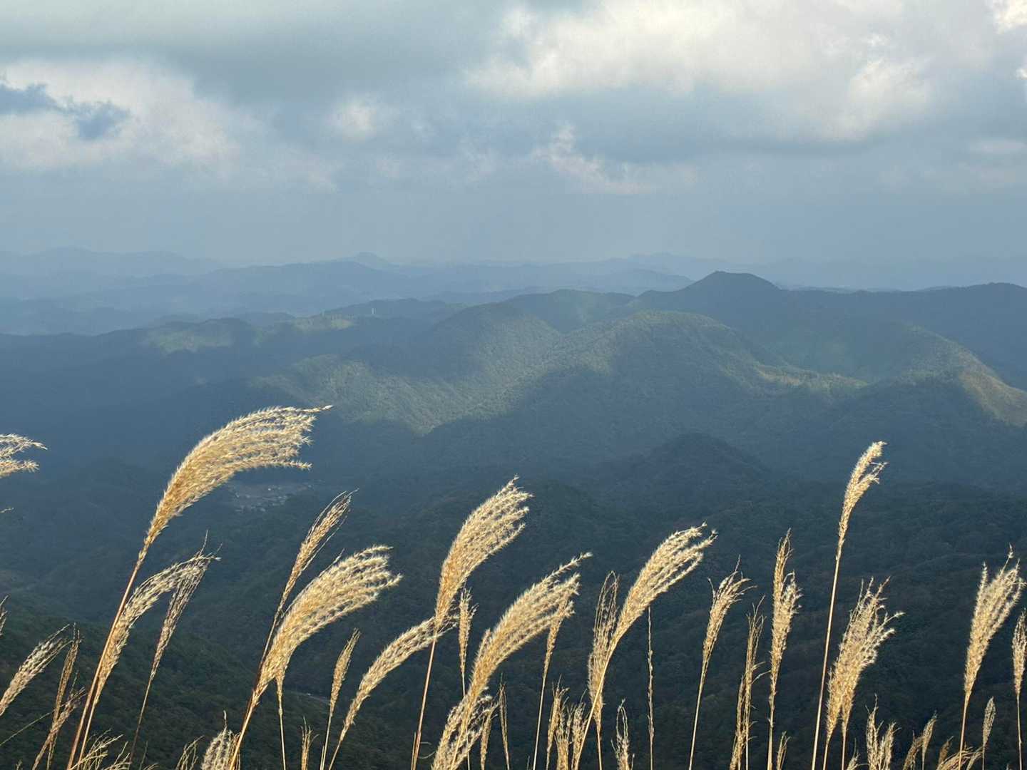 東登山口-深入山-南登山口 周回コースの写真