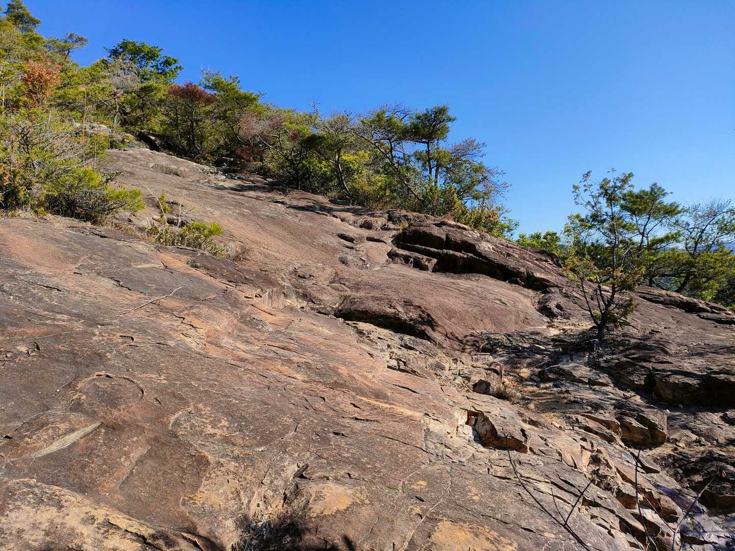 鬼城山-高石垣 往復コースの写真