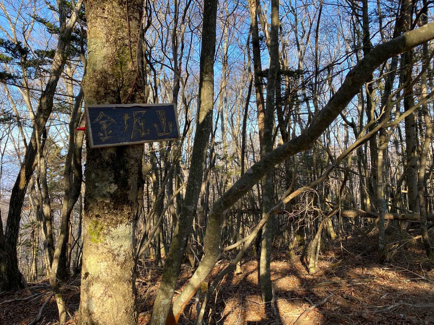 金坂山到着。山標は、これ😳