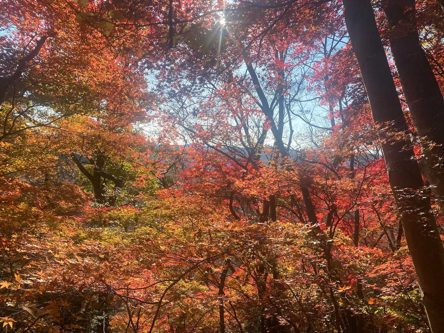 立神山-生瀬滝上-男体山・月居山登山口 縦走コースの写真