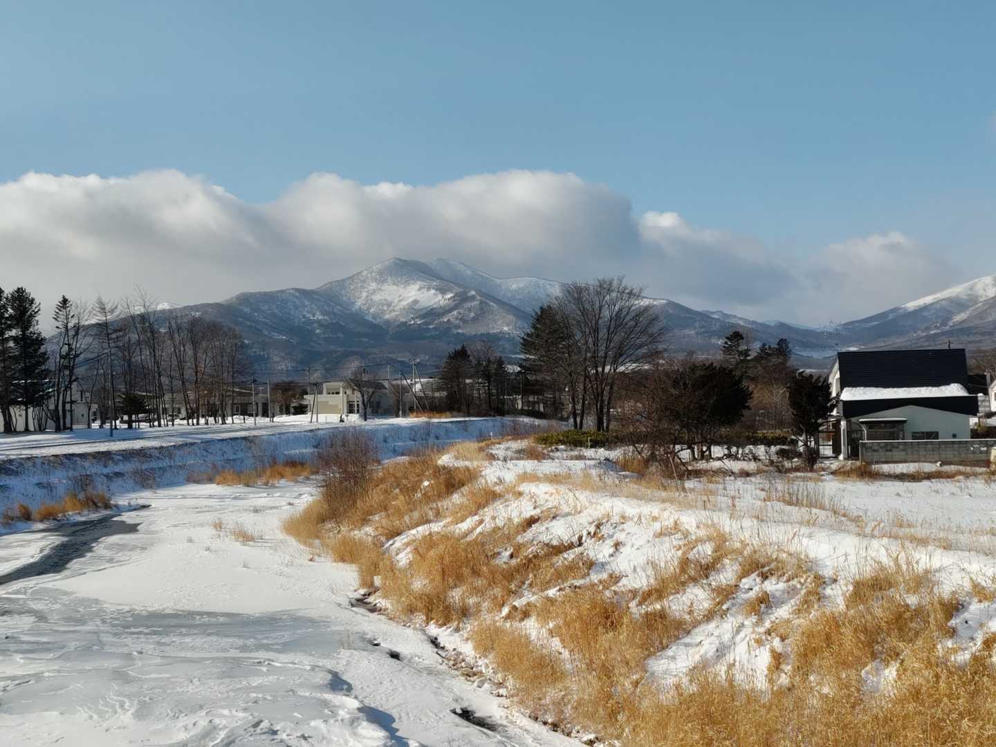 下山したらオダッシュ山が現れました😊