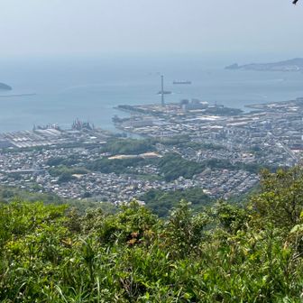 ロック🐕‍🦺