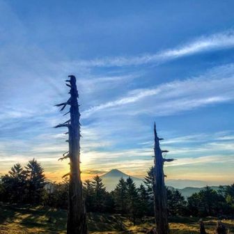 ﾎﾟﾝｺﾂさん🐖