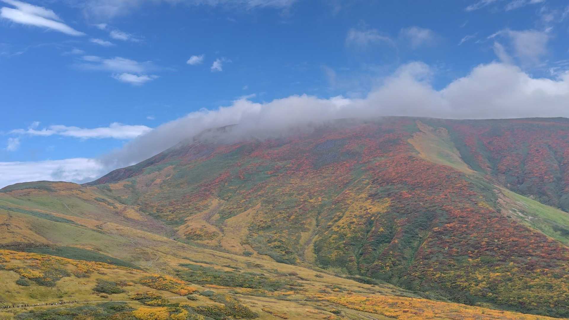 さっきまで青空の山頂だったのに、ガスが
次から次へとガスがかかります
相当強い風が吹いていそう