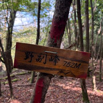 野副峰と言うみたい👀