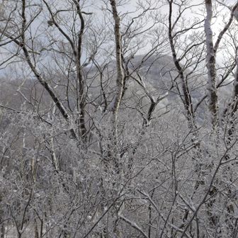 前ペラリ山に着きました。
ここからペラリ山がみえます🏔️
急な登りもあるので、軽アイゼンつけます。