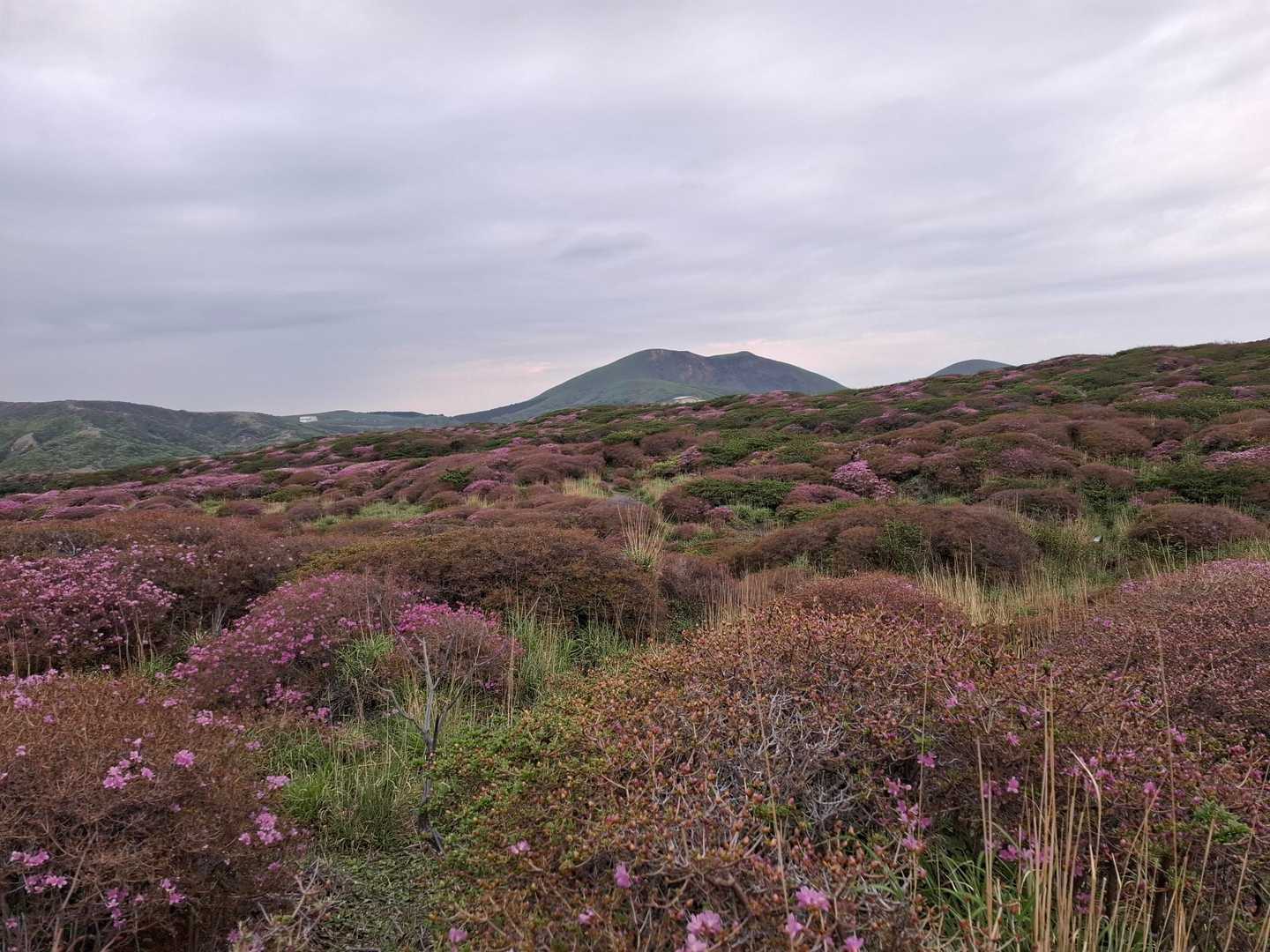 皿山 往復コースの写真