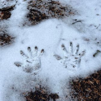 taku@登山ド初心者🔰