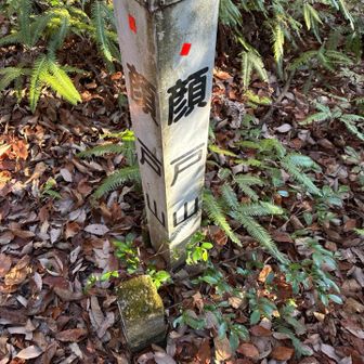 神社から取り付いてとうちゃこ！YAMAP1827