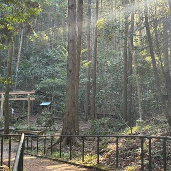 降りて来ました〜