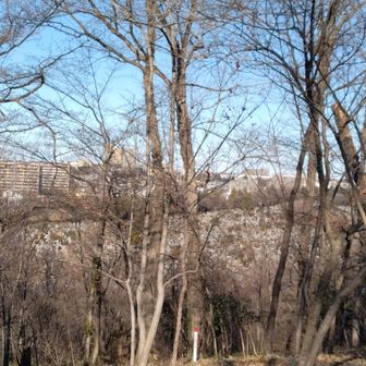 浅間山山頂から2。
多磨墓地方面。