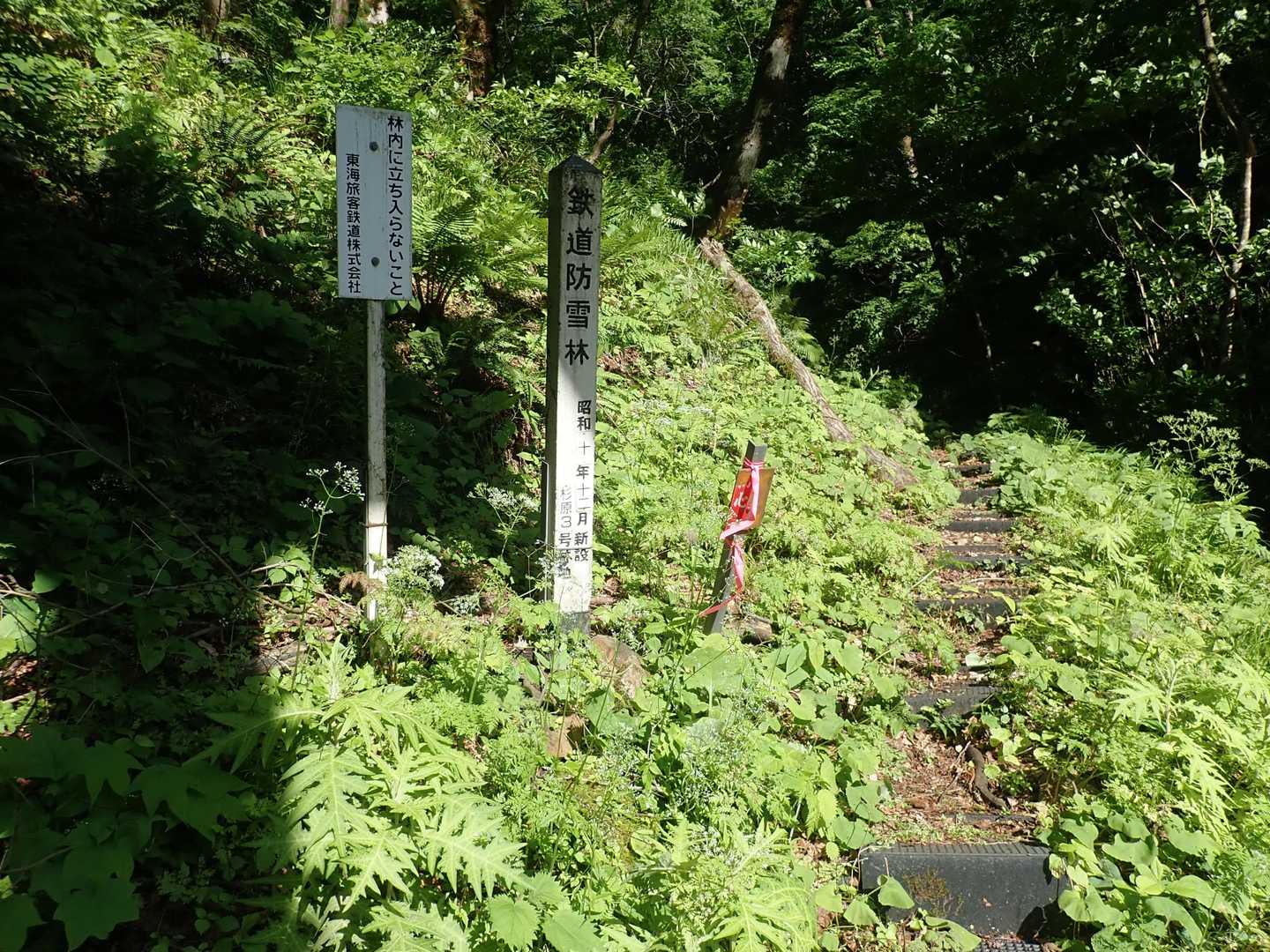 高山線の線路脇が登山口