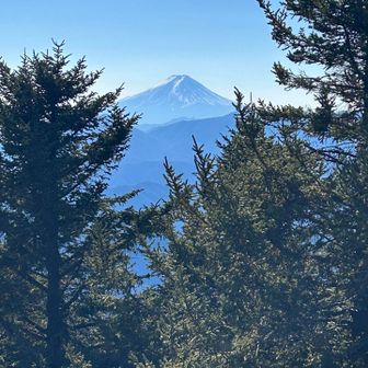 富士山は今日一日ずっと綺麗に見えました🤩
これだけで頑張れるよ私は。