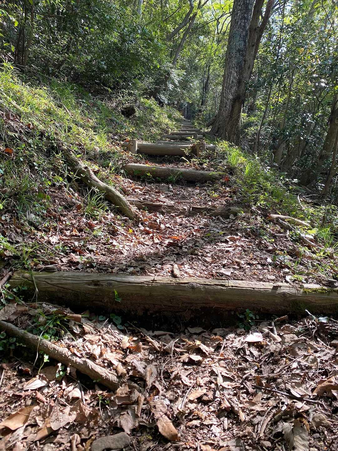 階段始まります😊
写真では伝わらない登りが続きます😅