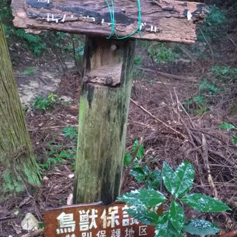 この辺はもう奈良県なんですね