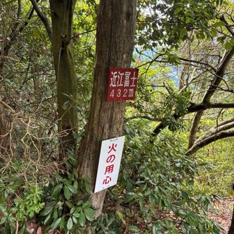 432mじゃないやろって感じの山だった