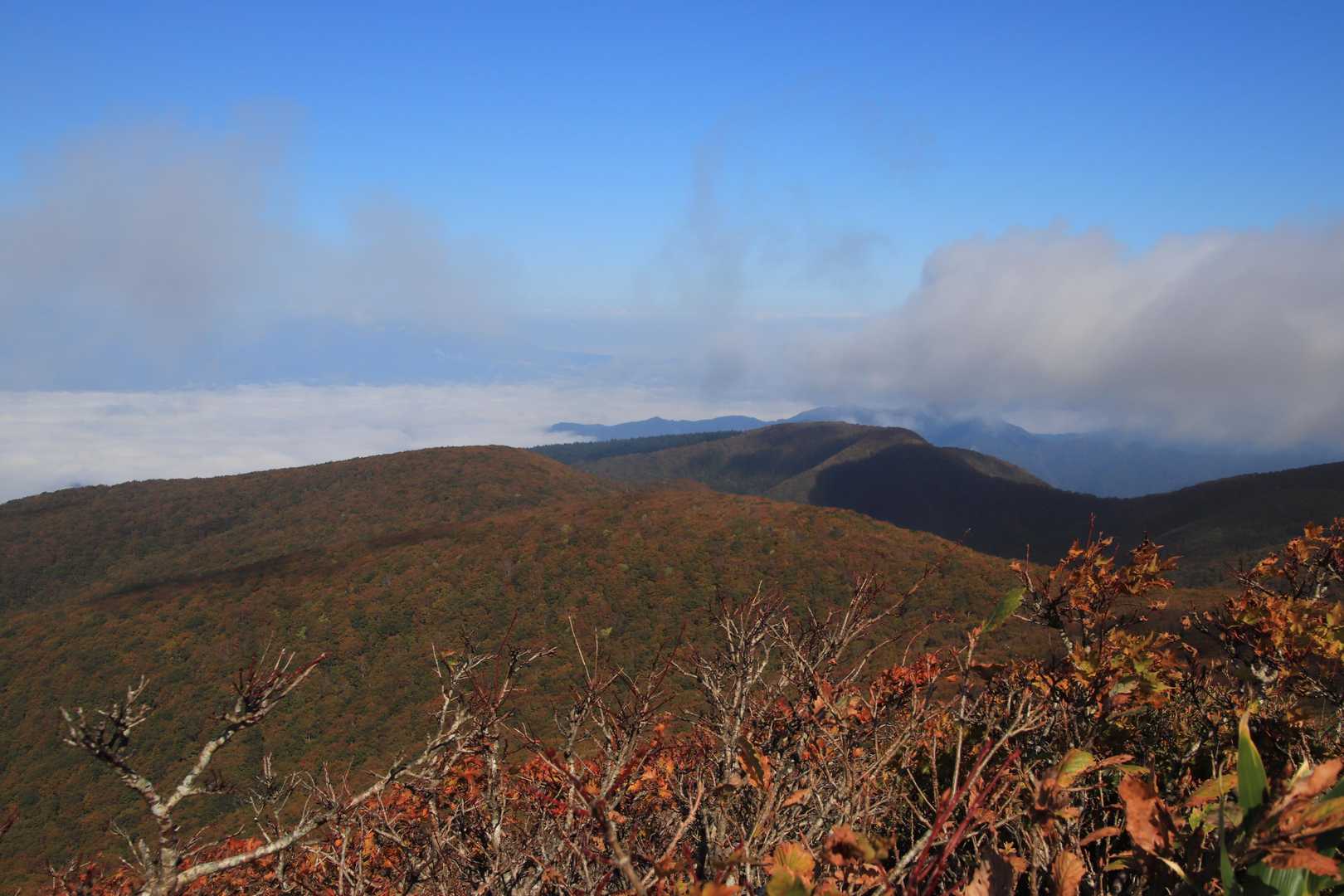 大関山-ハマグリ山-トンガリ山-山形神室岳-神室岳-笹谷峠 周回コースの写真