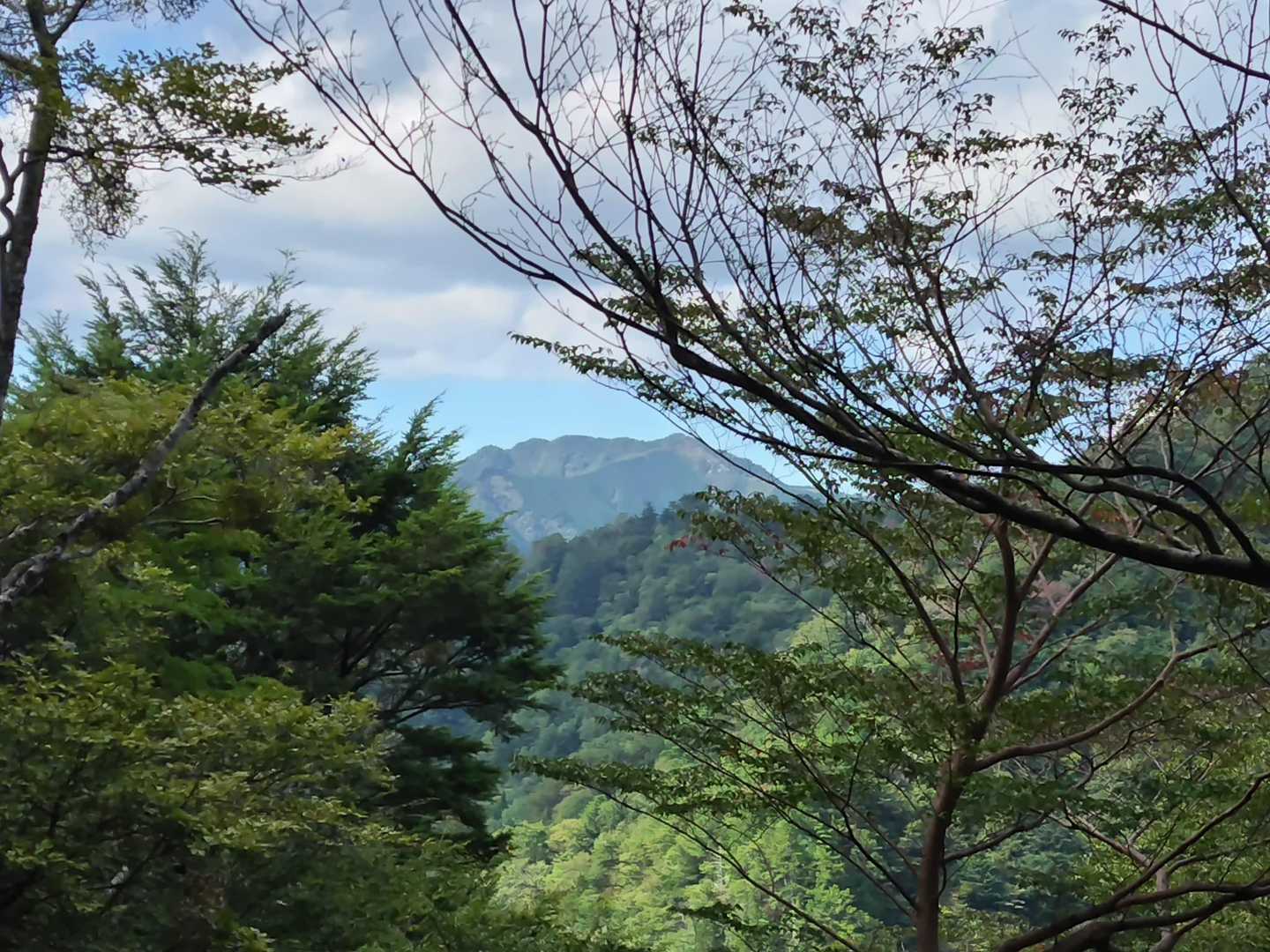 台高山脈から西へ派生する稜線にでました✨
この尾根伝いにピークへ💓
