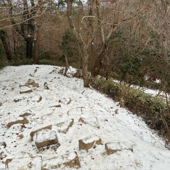 雪が出てきた。