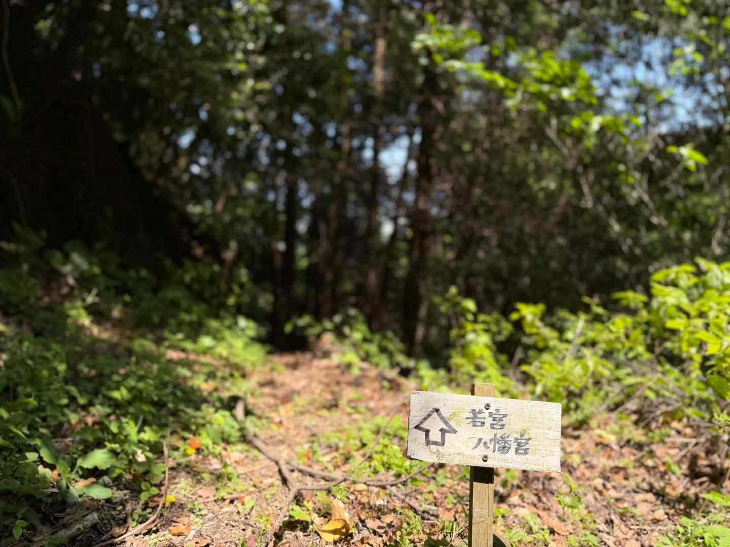 まだ暫く🍂
歩きにくい山道が続く‥😅